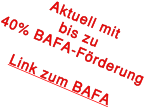 Aktuell mit bis zu  40% BAFA-Förderung   Link zum BAFA